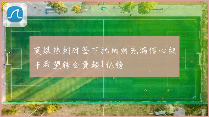 英媒热刺对签下托纳利充满信心纽卡希望转会费超1亿镑